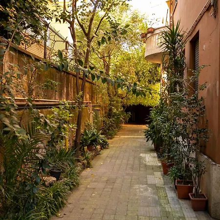 Trastevere Art House & Terrace Rome